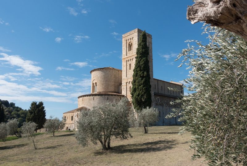 Amoliv - Bezienswaardigheden - Montalcino